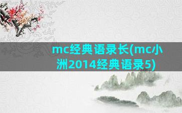 mc经典语录长(mc小洲2014经典语录5)