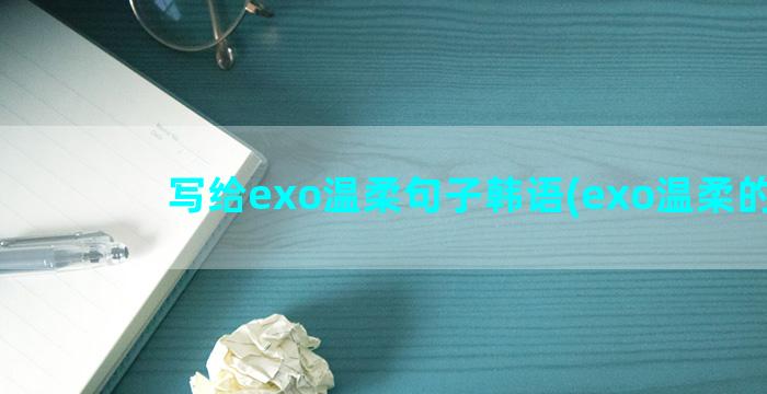 写给exo温柔句子韩语(exo温柔的歌)